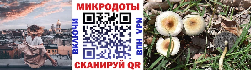 Галлюциногенные грибы Cubensis  Кубинка 