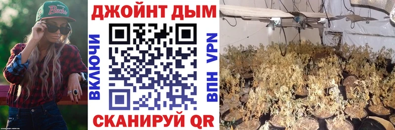 Конопля индика Кубинка